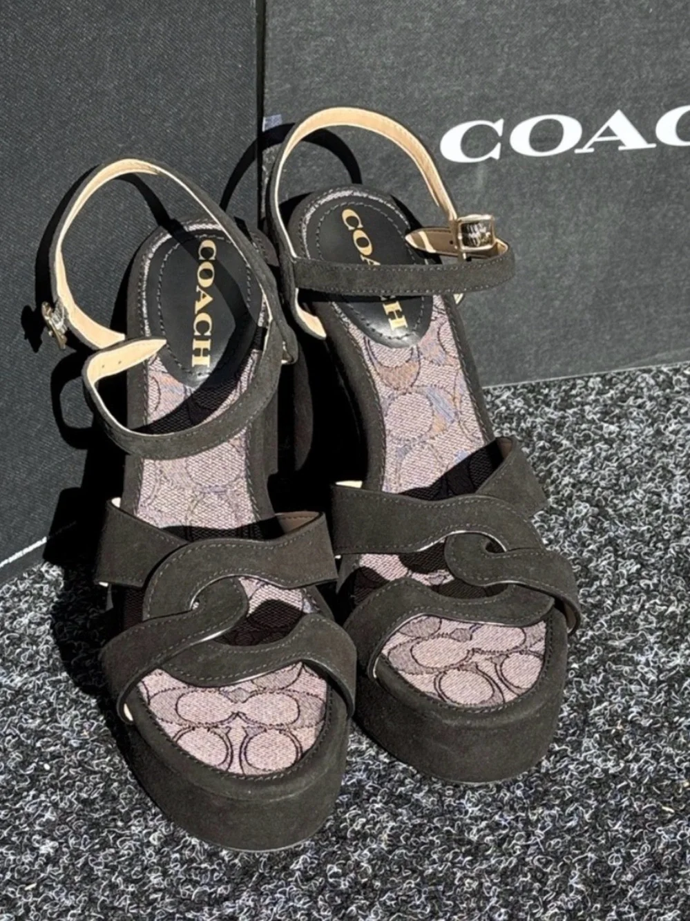 Coach Talina Suede Black Platform Sandals